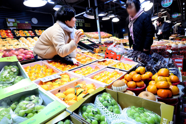 인천 남동구 남촌농수산물도매시장에서 한 소비자가 선물용 과일을 구입하고 있다. ⓒ뉴시스