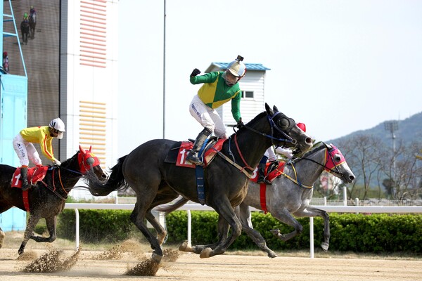 석세스백파 ⓒ 한국마사회