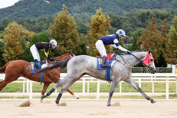 나이스타임 ⓒ 한국마사회