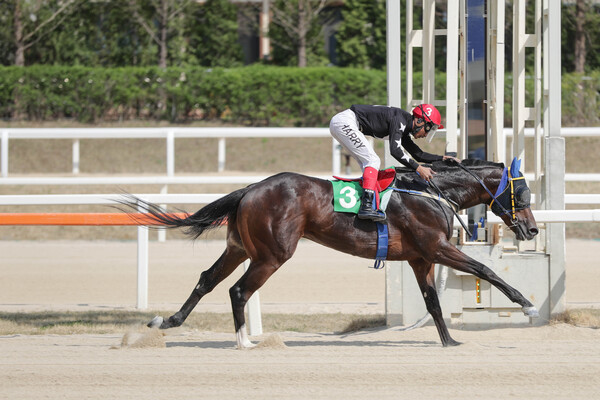 마이센터 ⓒ 한국마사회
