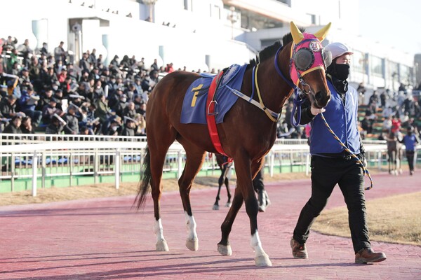 블루레몬 ⓒ 한국마사회