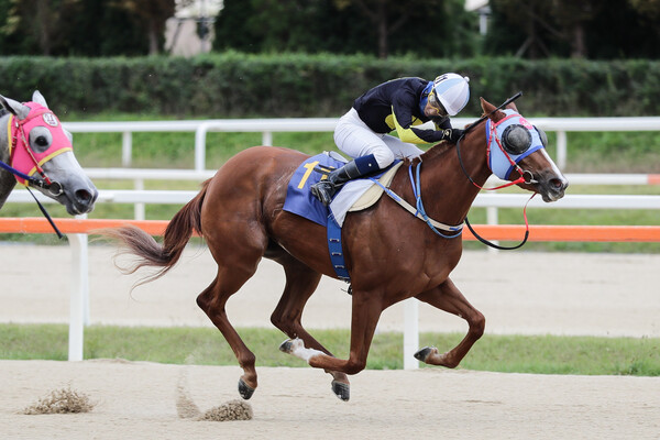 이클립스베리 ⓒ 한국마사회