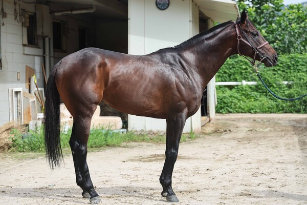 아르고스마일  ⓒ 마사회