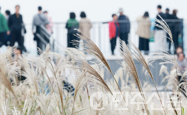 3일 오후 서울 마포구에 위치한 하늘공원에서 시민들이 억새풀과 자연을 느끼며 가을의 정취를 만끽하고 있다.   ⓒ민주신문 김현수 기자