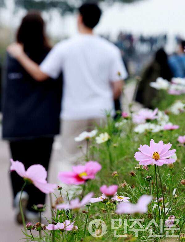 3일 오후 서울 마포구에 위치한 하늘공원에서 시민들이 억새풀과 자연을 느끼며 가을의 정취를 만끽하고 있다.   ⓒ민주신문 김현수 기자