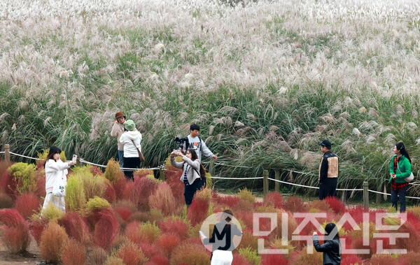 3일 오후 서울 마포구에 위치한 하늘공원에서 시민들이 억새풀과 자연을 느끼며 가을의 정취를 만끽하고 있다.   ⓒ민주신문 김현수 기자