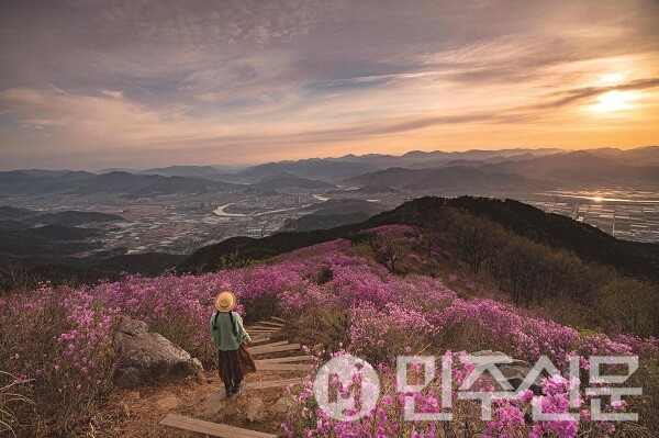 밀양시, 2025 밀양 사계절 관광 전국 사진 공모전 전시회 개최