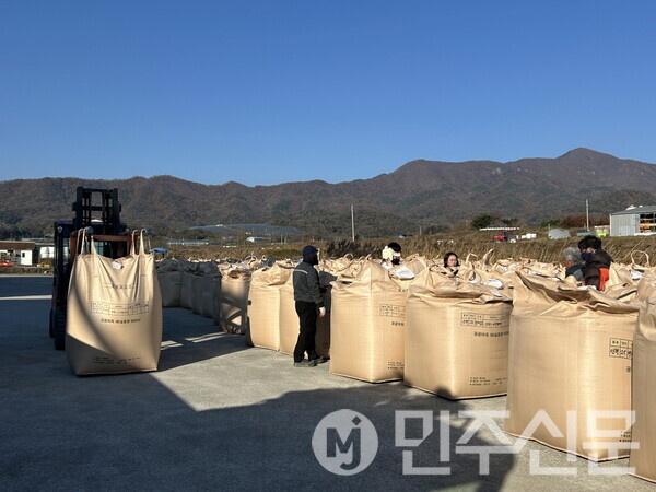 2025년산 공공비축미곡 수매 일정 시작 (사진=포항시)
